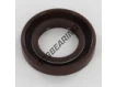 ASP-20X35X6-FPM
