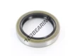 BC-49.21X68.26X12.70-NBR