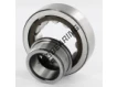 NJ306-ECP-C3-SKF
