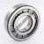 NUP309-ECJ-SKF