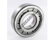 NUP309-ECJ-SKF