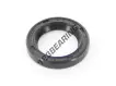 OA-19.50X29X5-NBR