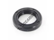 OAS-23X36X7-NBR
