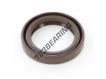 OAS-25X35X6-FPM